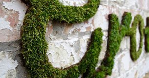 Moss Graffiti